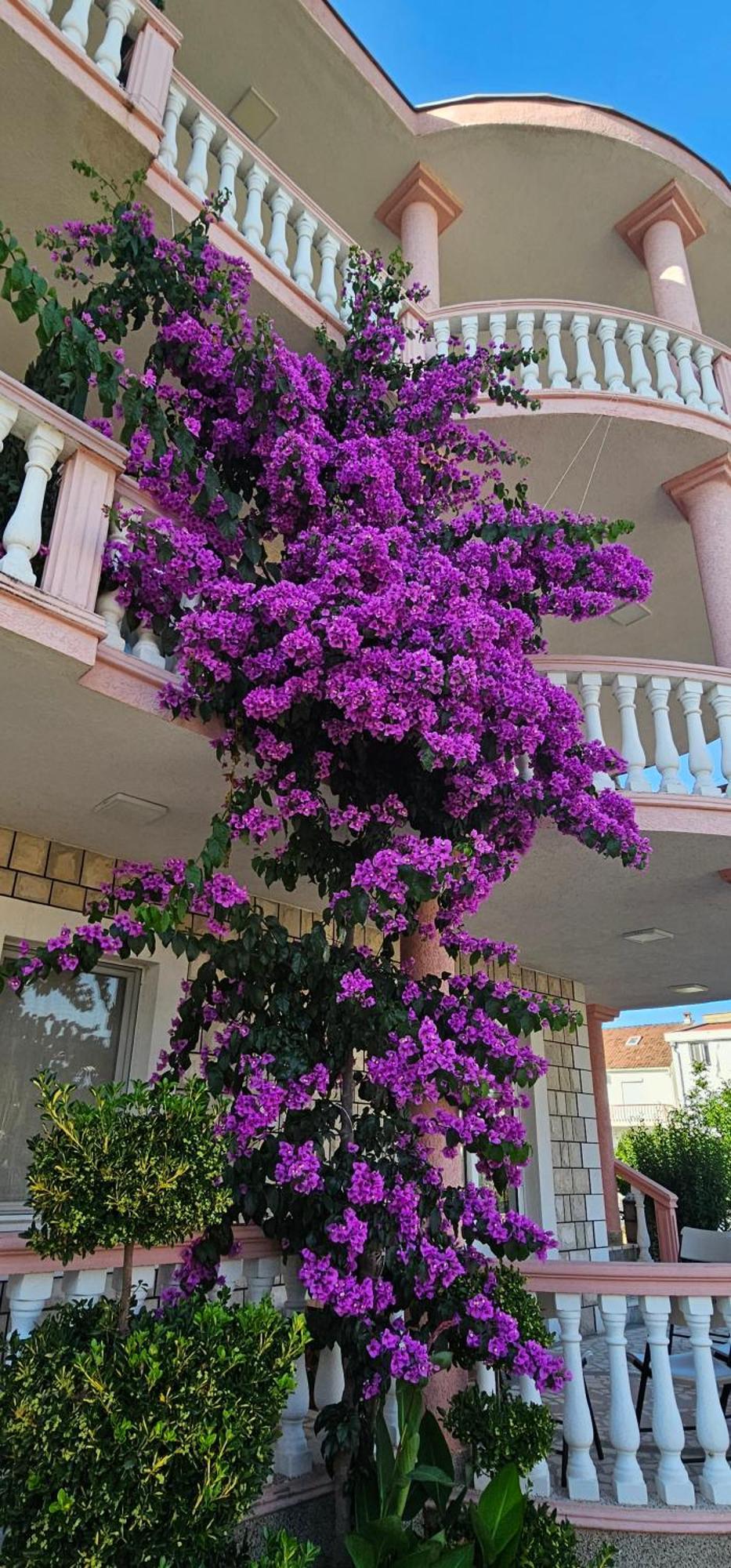 Kurt Apartaments Ulcinj Exterior photo